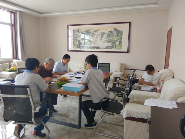 山东瑞生药用辅料专家现场检查验收